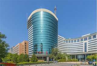 上海松木木板供应商