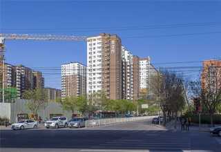 河西区现代打包带市场报价