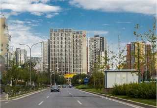 新疆存量污泥深度脱水设备研发